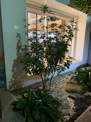 黃公館